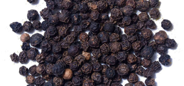Black Pepper